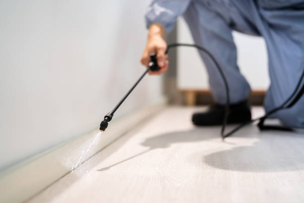 Licensed Termite Control service in Lyon County County, IA - Nex Pest Control