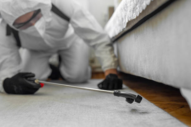 Professional Termite Control technician working in Lyon County County, IA